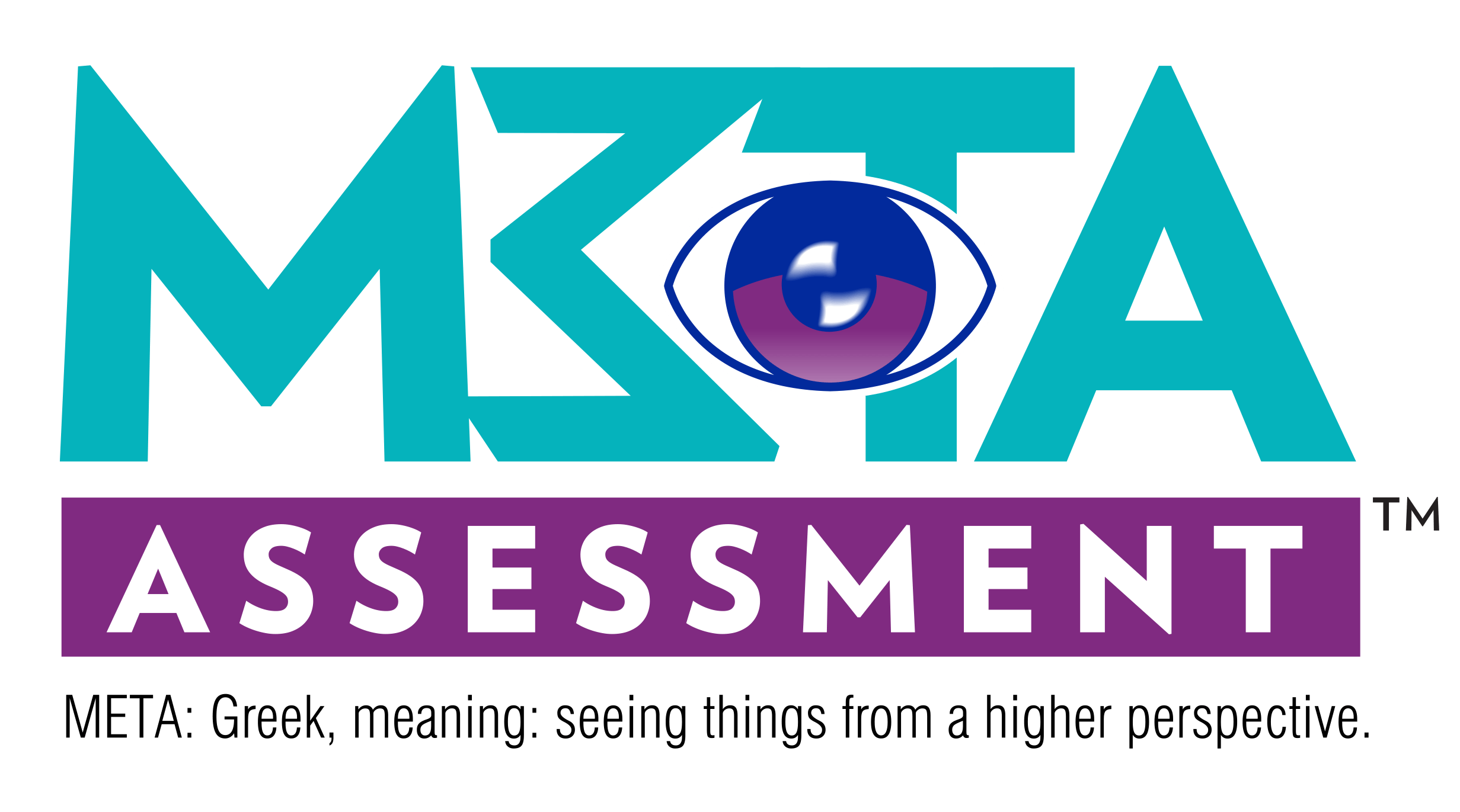 Meta Assessment Logo